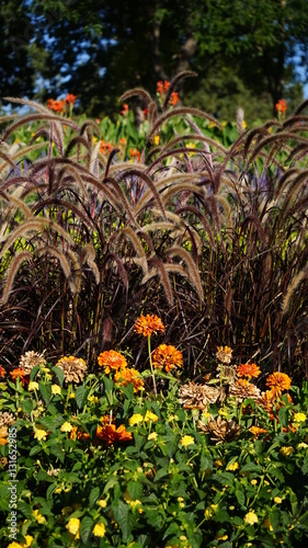 Park flowers and Plantsw photo