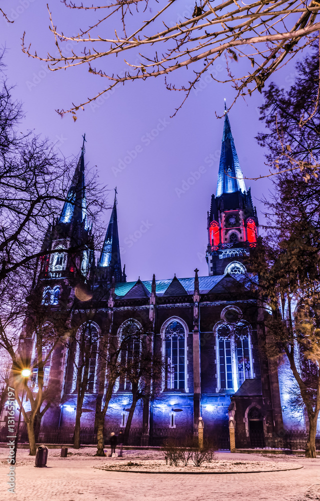 Neo Gothic style cathedral