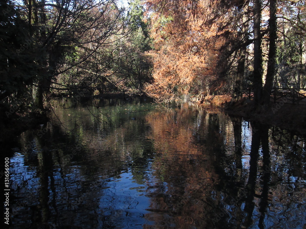 Laghetto del parco Sempione, Milano