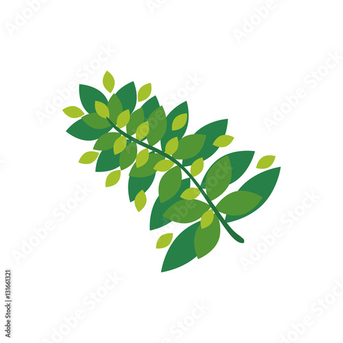 Plant leaves gardening icon vector illustration graphic design