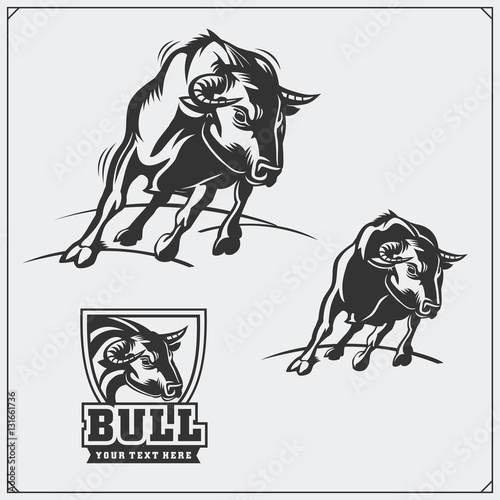 Raging bull. Vector emblems, labels and badges.