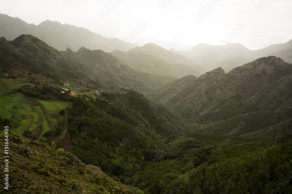 Fototapeta premium Road TF-12 in Anaga Rural Park - peaks with ancient forest on Tenerife
