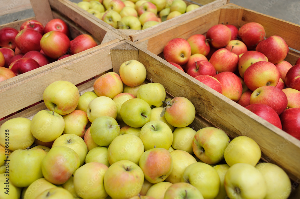 Wooden crate box full of fresh apples Wooden crate box full of fresh apples