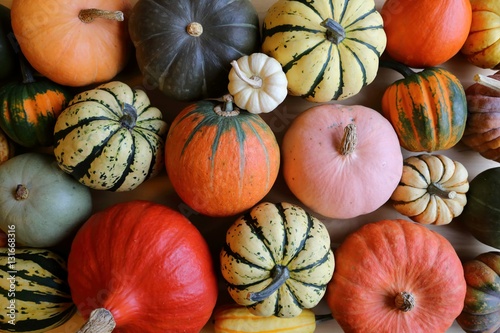 Squash and pumpkins.