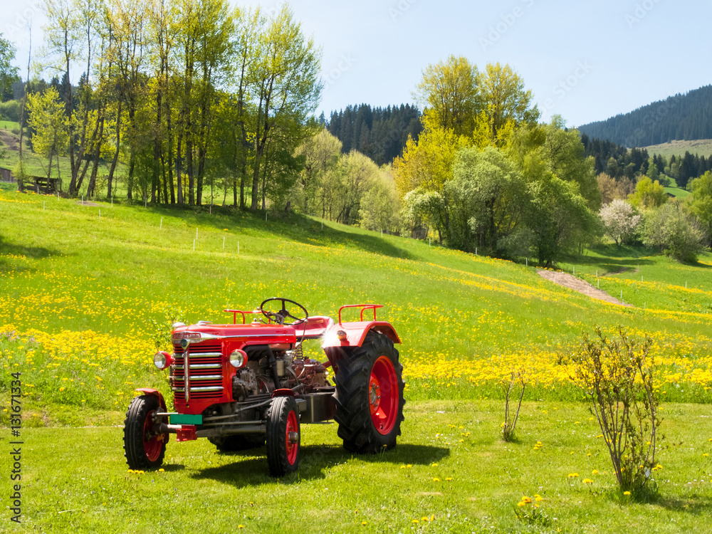 Fototapeta premium Antique tractor