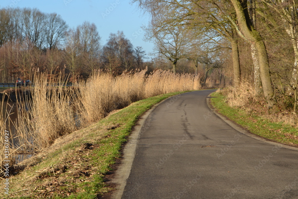 Fototapeta premium winterzonnetje op het fietspad langs het Apeldoorns Kanaal