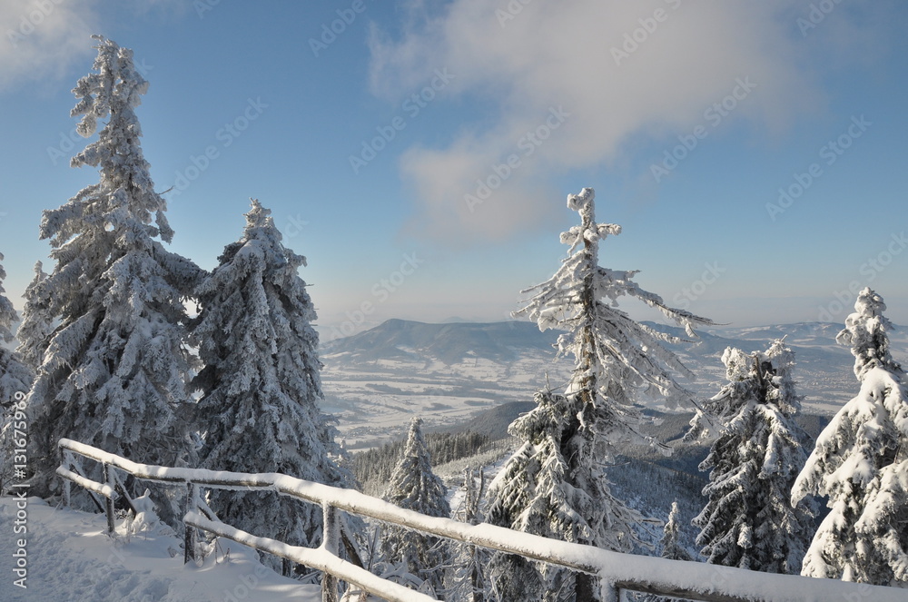 Winter fairytale in Beskydy mountains in Czech Republic, with a lot of snow and blue sky