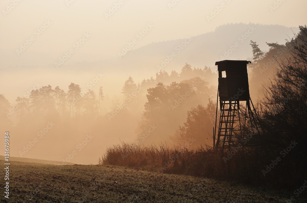 Autumn sunrise atmosphere with hunting high stand in Czech Republic