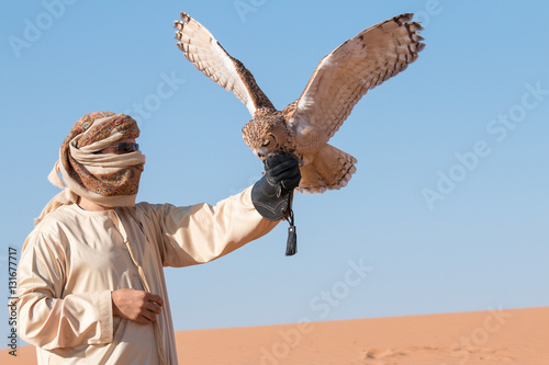 Young male pharaoh eagle owl (bubo ascalaphus) during a desert falconry show in Dubai, UAE.