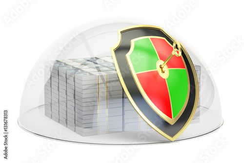 Packs of dollars with glass dome and shield, financial insurance