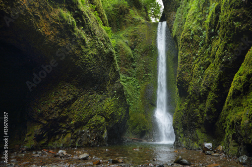 Fotografie, Obraz Lower falls in Oneonta Gorge