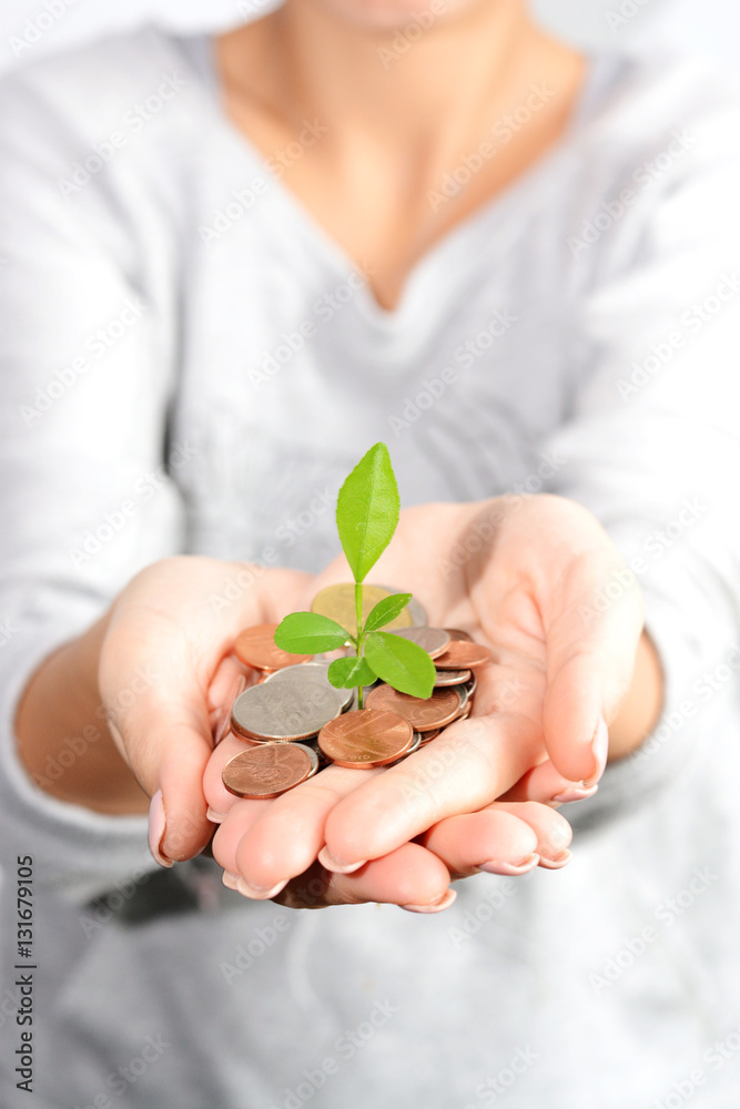 Money growth concept with coins and plant in woman hand