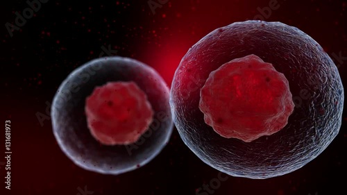 Abstract 3d slow motion animation of human cells or microbes. Viewed through the microscope, close up HD footage.