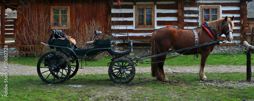 Zaprzęg konny