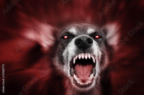 Fotografía Red glowing eyed scary beast