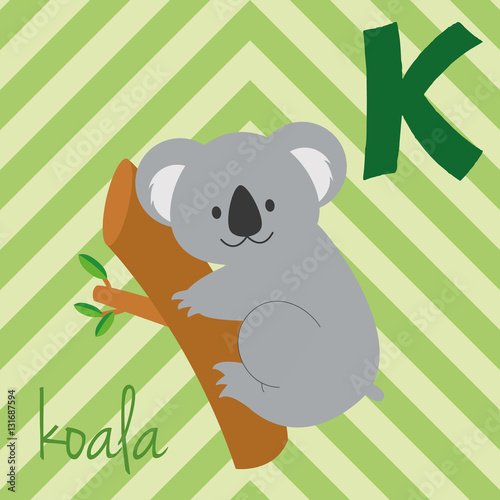 Cute cartoon zoo illustrated alphabet with funny animals. Spanish alphabet: K for Koala. Learn to read. Isolated Vector illustration.