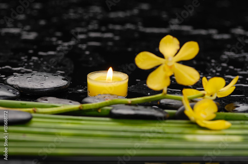 Yellow orchid with black stones with candle  green plant-wet background