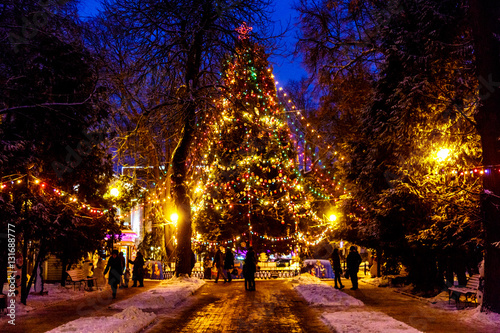 Christmas tree night in the Park, lights and toys