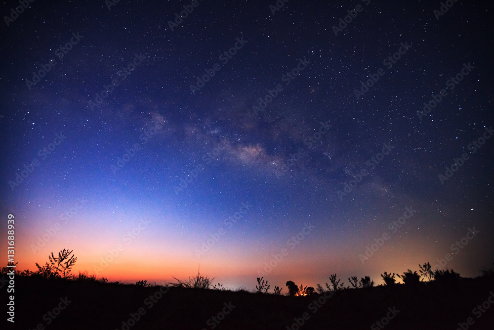 Beautiful milky way and silhouette of tree on a night sky before Beautiful milky way and silhouette of tree on a night sky before