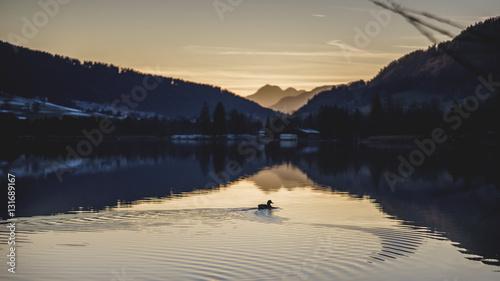 Walchsee Sonnenuntergang Österreich