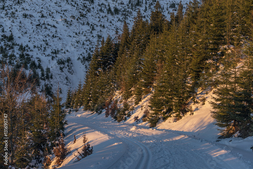 Sunrise in Jeseniky mountains in Christmas time photo