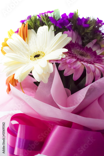 Beautiful colorful flower on white background.