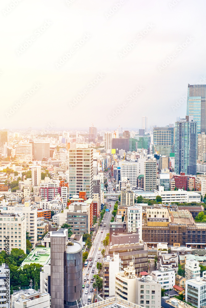 Obraz premium Asia Business concept for real estate and corporate construction - vertical modern cityscape building bird eye aerial view from tokyo tower under sunrise and morning blue bright sky in Tokyo, Japan