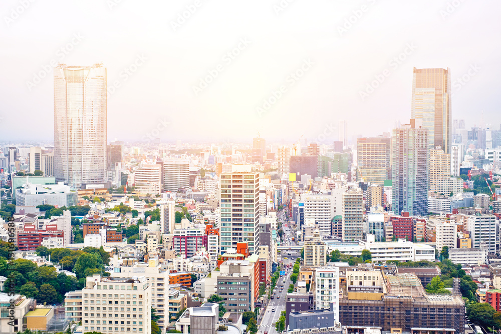 Asia Business concept for real estate and corporate construction - panoramic modern cityscape building bird eye aerial view from tokyo tower under sunrise and morning blue bright sky in Tokyo, Japan