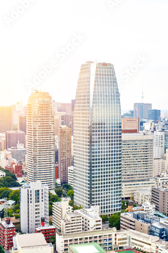 Asia Business concept for real estate and corporate construction - vertical modern cityscape building bird eye aerial view from tokyo tower under sunrise and morning blue bright sky in Tokyo  Japan