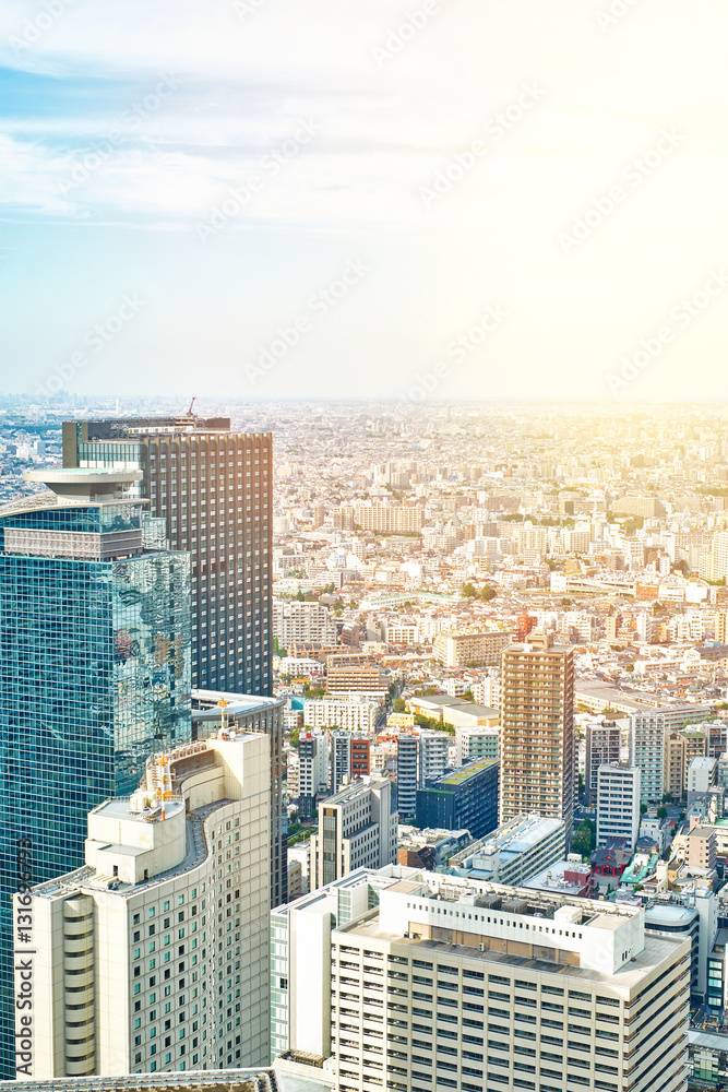 Naklejka premium Asia Business concept for real estate and corporate construction - panoramic modern cityscape building bird eye aerial view under sunrise and morning blue bright sky in Tokyo, Japan