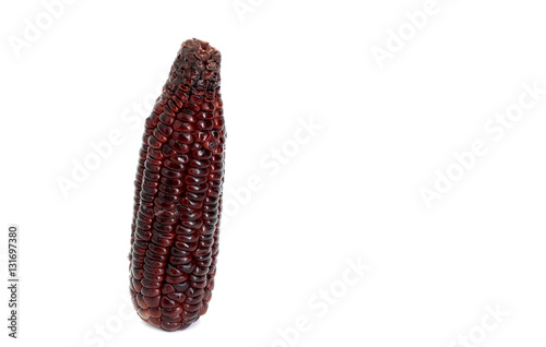 Red corn isolated on the white background