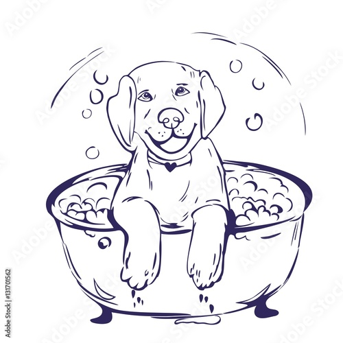 Dog bath grathic illustration