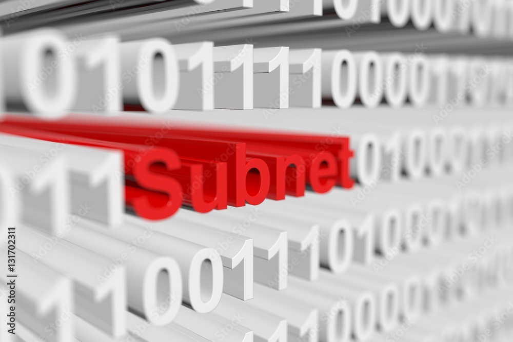 Subnet in binary code with blurred background 3D illustration