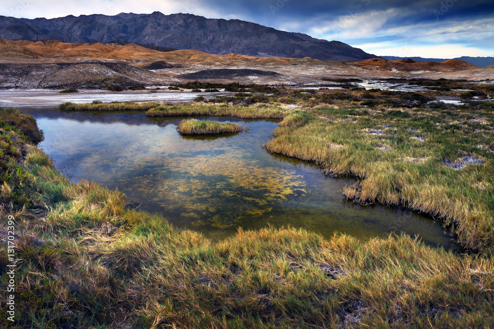 Salt Creek, Death Valley, California