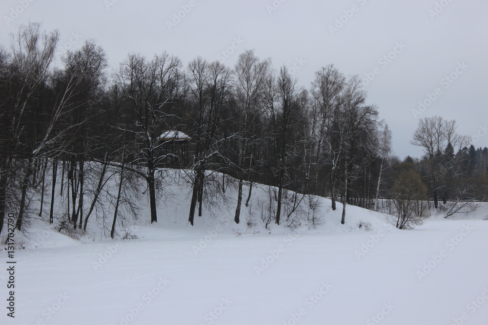 Fototapeta premium Поле