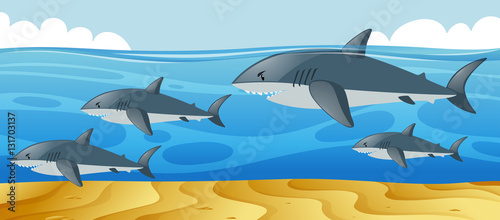 Ocean scene with sharks swimming in the sea