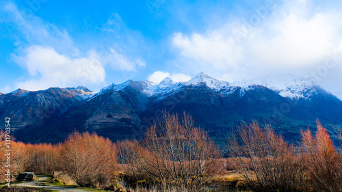 Glenorchy mountain range with trees in foreground