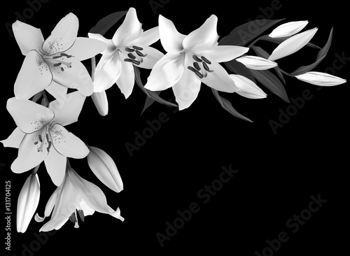 Fototapeta Naklejka Na Ścianę i Meble -  white and grey lily flower corner on black