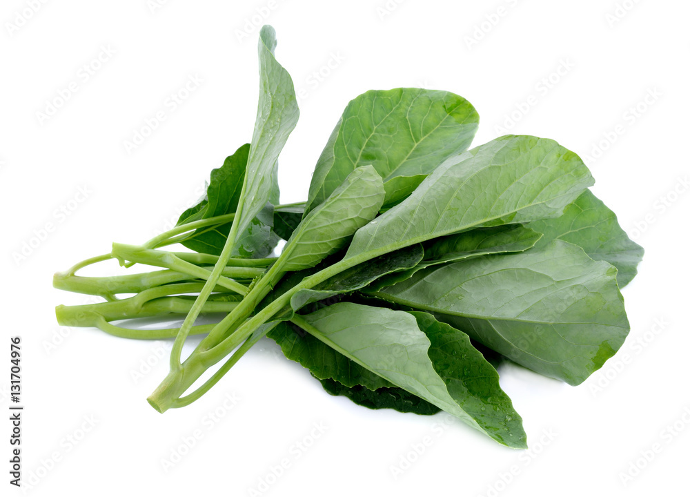 Chinese kale vegetable isolated on white background Chinese kale vegetable isolated on white background