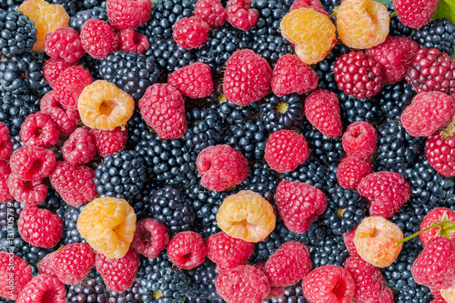 Multi-colored rasberries and blackberries pattern.