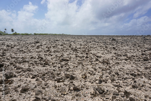 Desert landscape on the rim of the atoll of Tikehau in a part regularly covered by the sea, Tuamotu archipelago, French Polynesia, Pacific ocean 