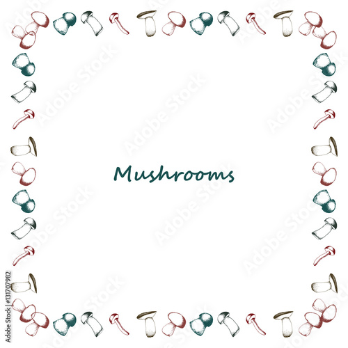 Mushrooms arranged in frame