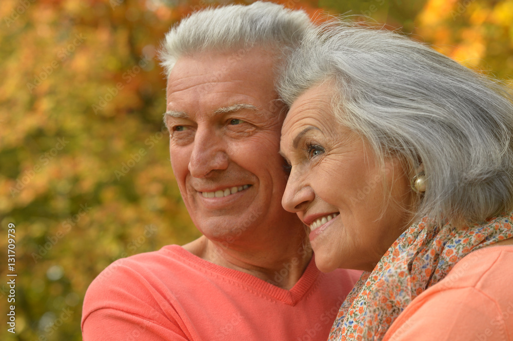 Senior couple in autumn park