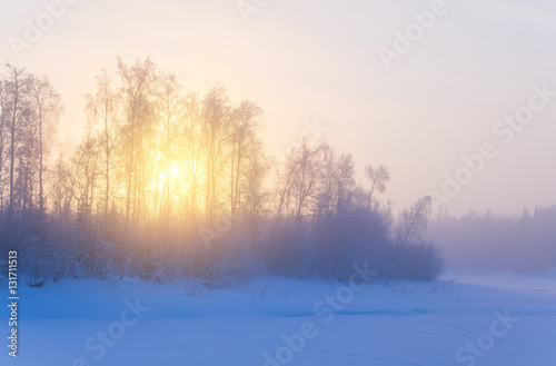 Winter morning misty landscape. Frozen trees in the rays of the rising sun.