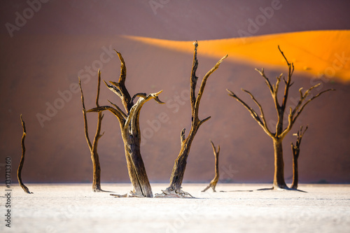 Sussusvlei Deadvlei - Namibia photo