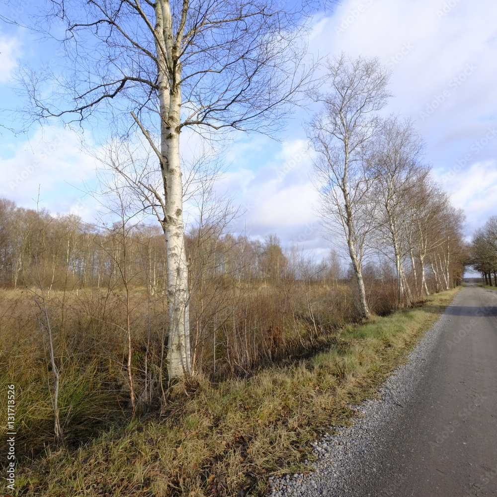 Niedersandhausen zur Winterjahreszeit Niedersandhausen zur Winterjahreszeit