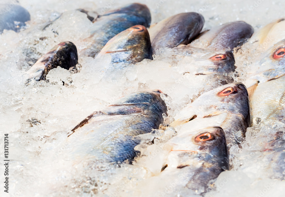 Fresh fish on ice at the seafood booth, Food industrial image