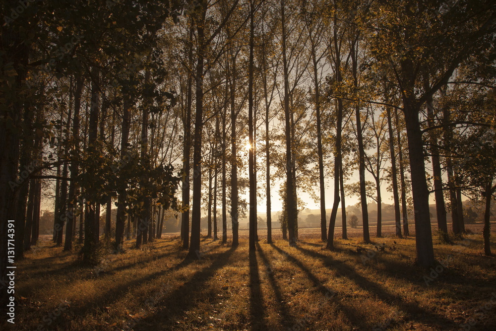 Obraz premium Francia,Guascogna.