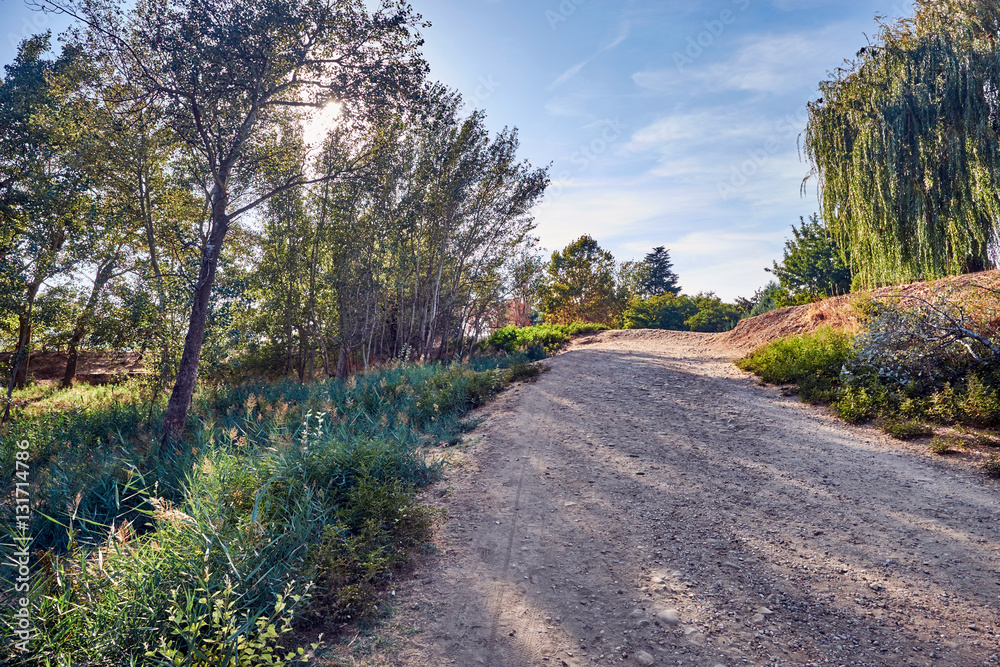 Obraz premium Views of the River Henares, near Alcala de Henares, Madrid, Spai