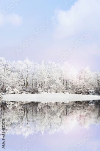 Winter Landscape © Stephanie Frey